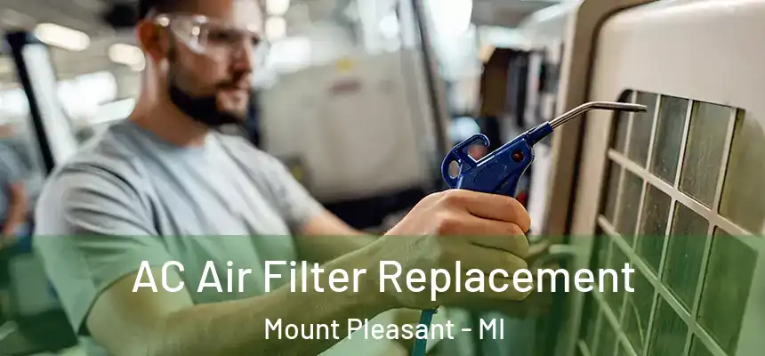 AC Air Filter Replacement Mount Pleasant - MI