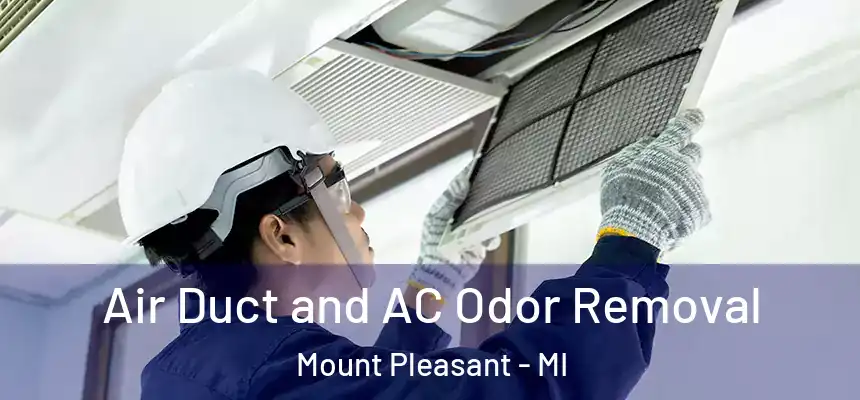  Air Duct and AC Odor Removal Mount Pleasant - MI