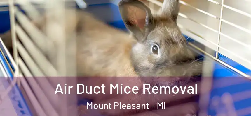  Air Duct Mice Removal Mount Pleasant - MI