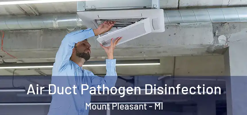  Air Duct Pathogen Disinfection Mount Pleasant - MI