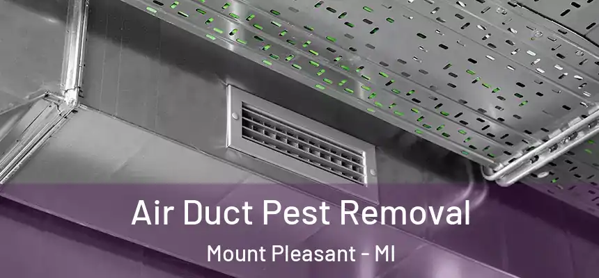  Air Duct Pest Removal Mount Pleasant - MI