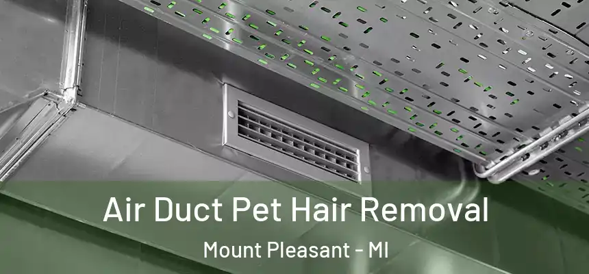 Air Duct Pet Hair Removal Mount Pleasant - MI
