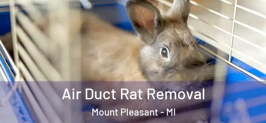  Air Duct Rat Removal Mount Pleasant - MI