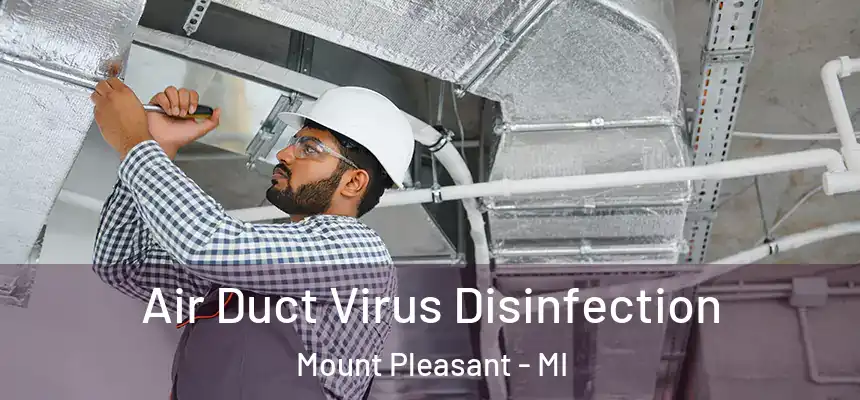 Air Duct Virus Disinfection Mount Pleasant - MI