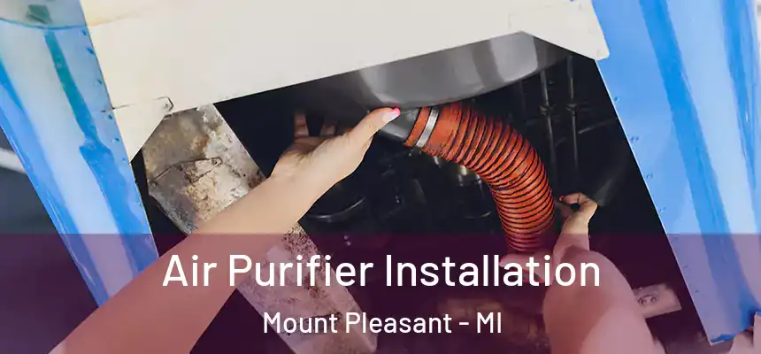 Air Purifier Installation Mount Pleasant - MI