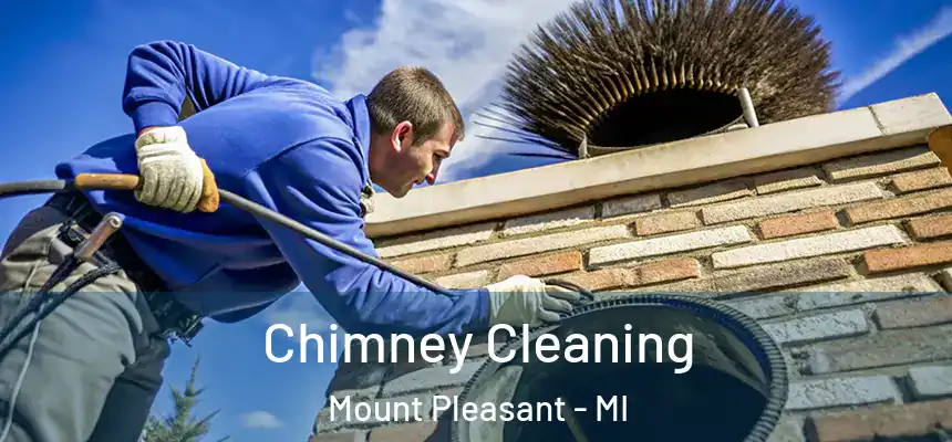  Chimney Cleaning Mount Pleasant - MI