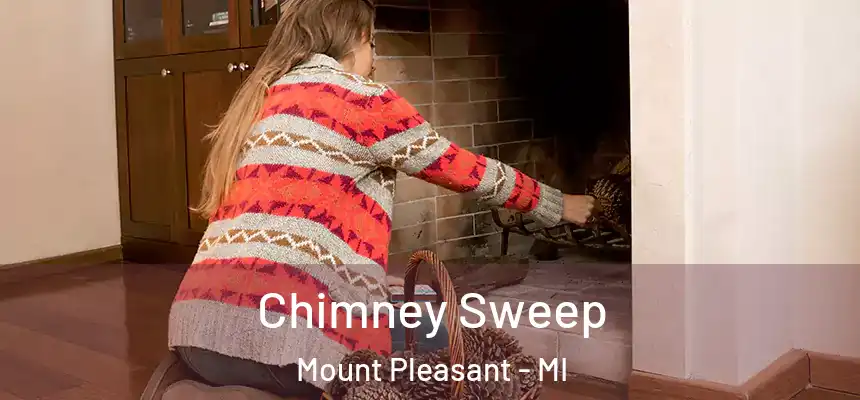 Chimney Sweep Mount Pleasant - MI