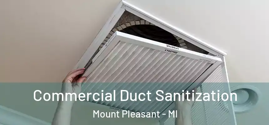  Commercial Duct Sanitization Mount Pleasant - MI