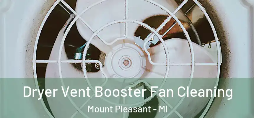 Dryer Vent Booster Fan Cleaning Mount Pleasant - MI