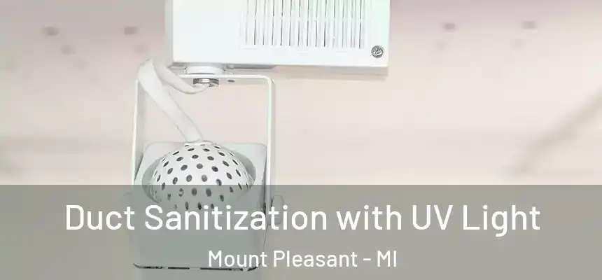Duct Sanitization with UV Light Mount Pleasant - MI