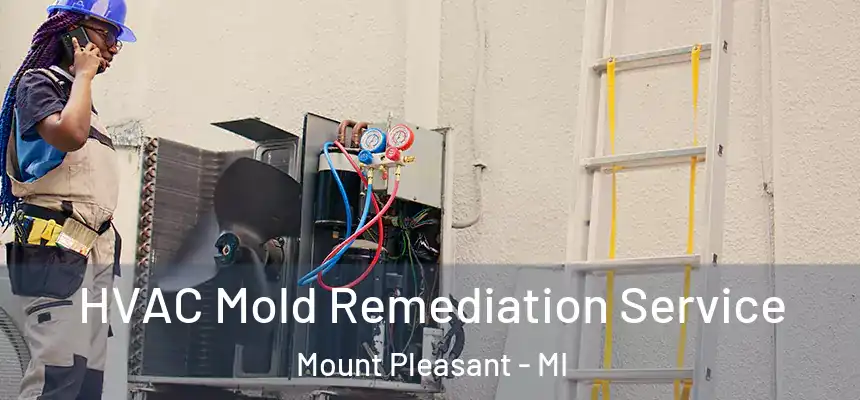 HVAC Mold Remediation Service Mount Pleasant - MI