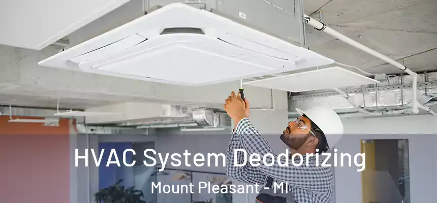  HVAC System Deodorizing Mount Pleasant - MI