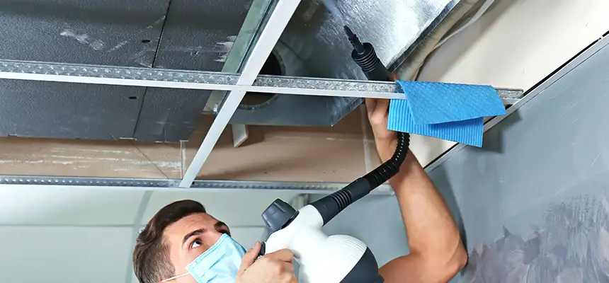 Our Air Duct Rodent Removal Services in Mount Pleasant, MI