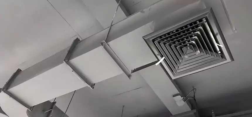 Restorative Allergy Relief Vent Cleaning – Coil, Blower & Housing Detail in Mount Pleasant