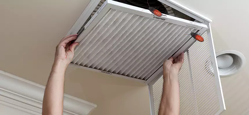 Our Insect Removal from Air Ducts Services in Mount Pleasant, MI