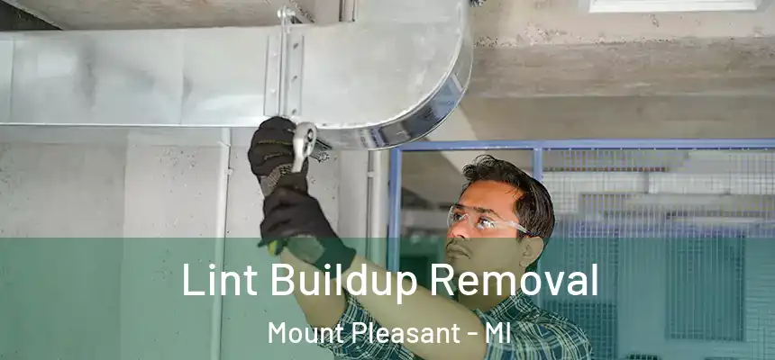  Lint Buildup Removal Mount Pleasant - MI