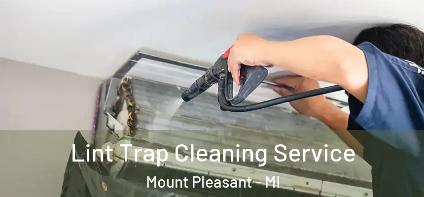 Lint Trap Cleaning Service Mount Pleasant - MI