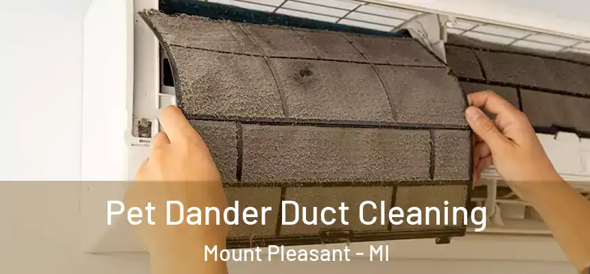 Pet Dander Duct Cleaning Mount Pleasant - MI