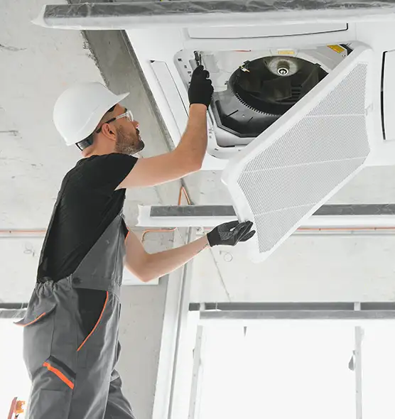 About Air Duct Rodent Removal in Mount Pleasant, MI