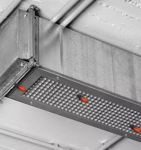 Affordable Insect Removal from Air Ducts in Mount Pleasant, MI