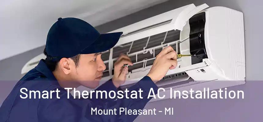  Smart Thermostat AC Installation Mount Pleasant - MI