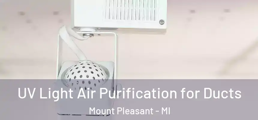 UV Light Air Purification for Ducts Mount Pleasant - MI