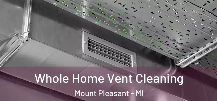  Whole Home Vent Cleaning Mount Pleasant - MI